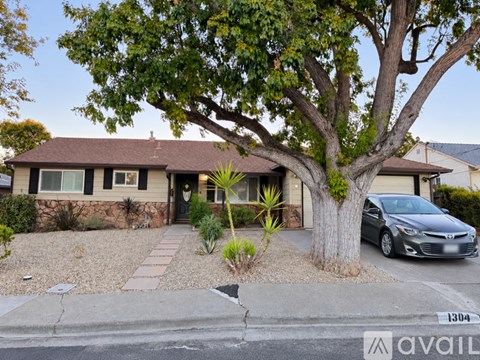 A house with a tree in front and a car parked in the driveway.