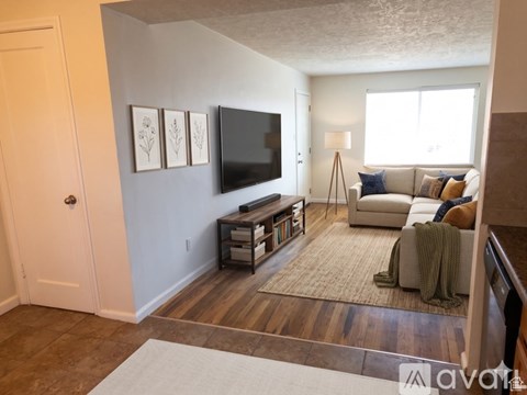 A living room with a couch, a television, and a rug.