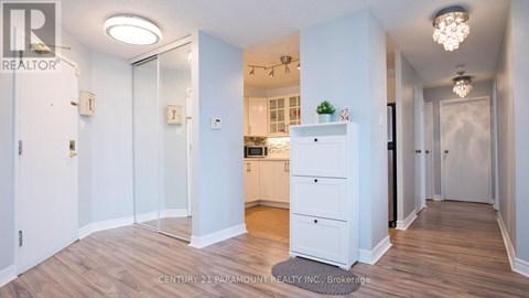 A white kitchen with wood floors and a white cabinet with a plant on top.