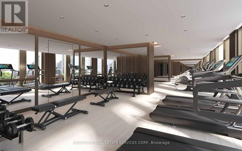 A gym with treadmills, weights and exercise equipment.