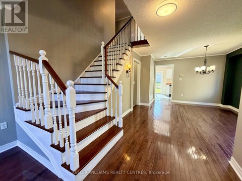 111 BENTLEY CRESCENT 4 Beds Apartment for Rent