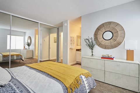 A bedroom with a bed, dresser, mirror and a plant.