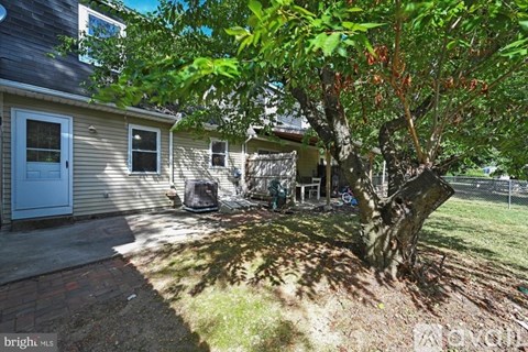 A tree in a yard in front of a house.