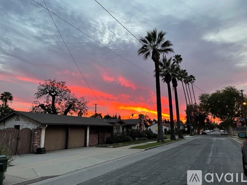 A street view with palm trees and a house with a garage.