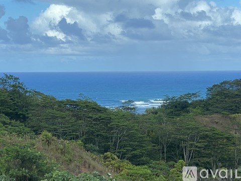 A view of the ocean from a hillside.