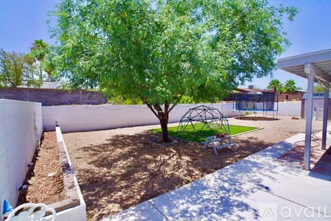 A tree in a yard with a swing set in the background.
