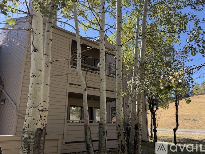 A birch tree stands in front of a house.