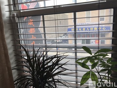 A window with blinds and a plant in front of it.