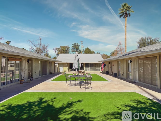A sunny day at the Avila apartments with a palm tree in the background.