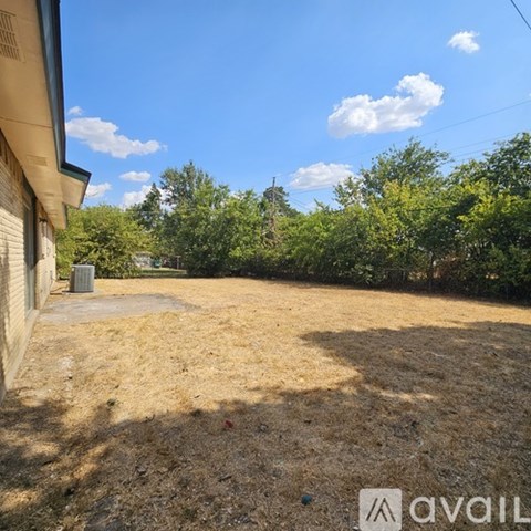 A backyard with a brown lawn and trees in the background.