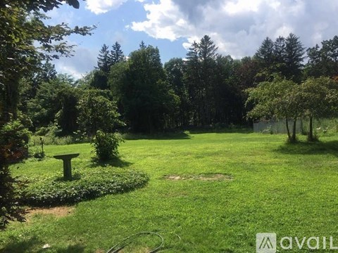 A lush green garden with a table and chairs in the middle.