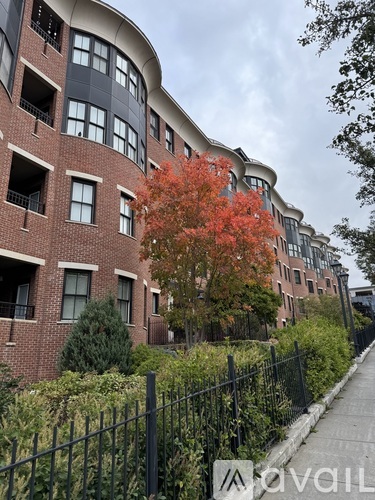 40 College Street 2 Beds Condo for Rent - Photo gallery 2