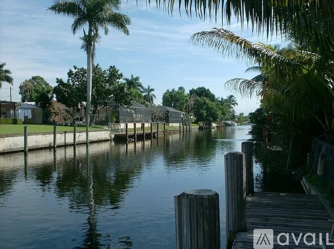 A calm waterway with a dock and a palm tree.
