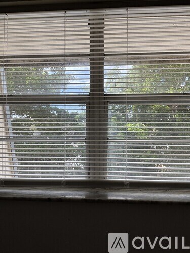 A window with blinds partially closed, showing a view of trees and sky.