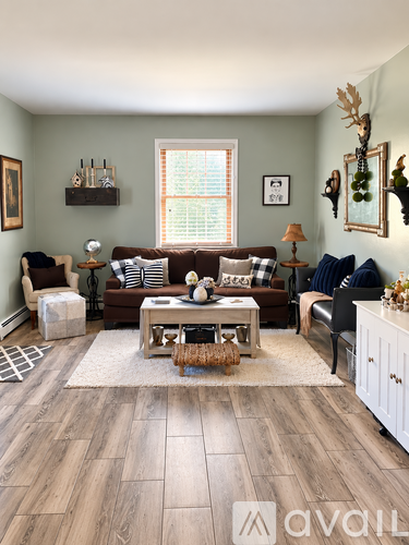 A living room with a brown couch, a coffee table, and a rug.