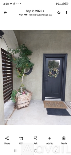 A black door with a wreath on it and a tree in a basket.