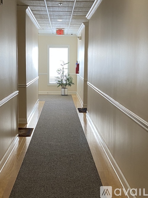 A long hallway with a carpeted floor and a plant in a vase.