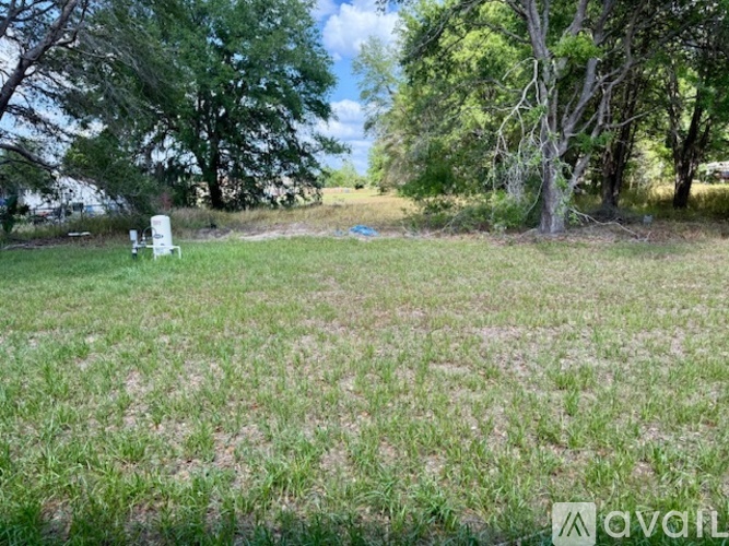 A grassy field with trees and a white chair in the distance.