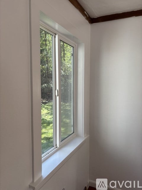 A window with a view of trees outside.