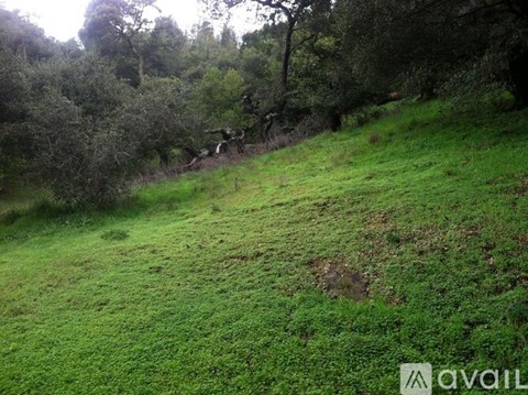 A grassy hillside with trees in the background.