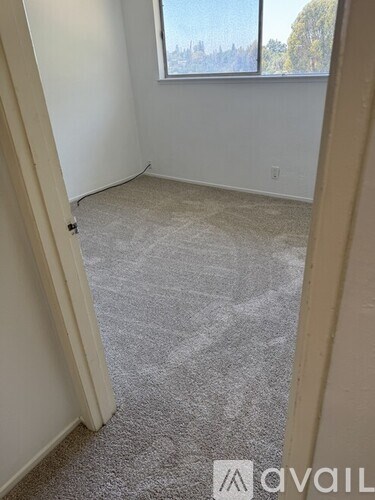 A carpeted room with a window and a door.