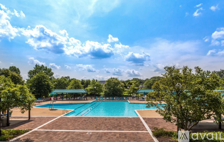 A large outdoor swimming pool surrounded by trees and a clear blue sky.