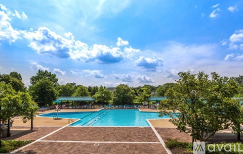 A large outdoor swimming pool surrounded by trees and a clear blue sky.