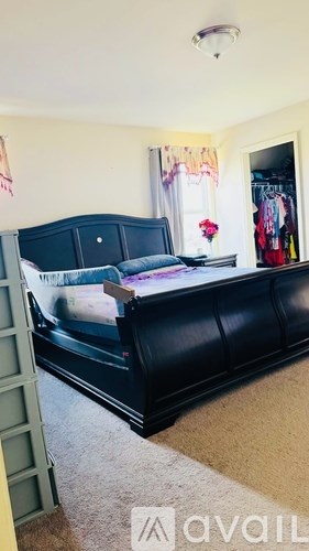 A bedroom with a black bed and a carpeted floor.