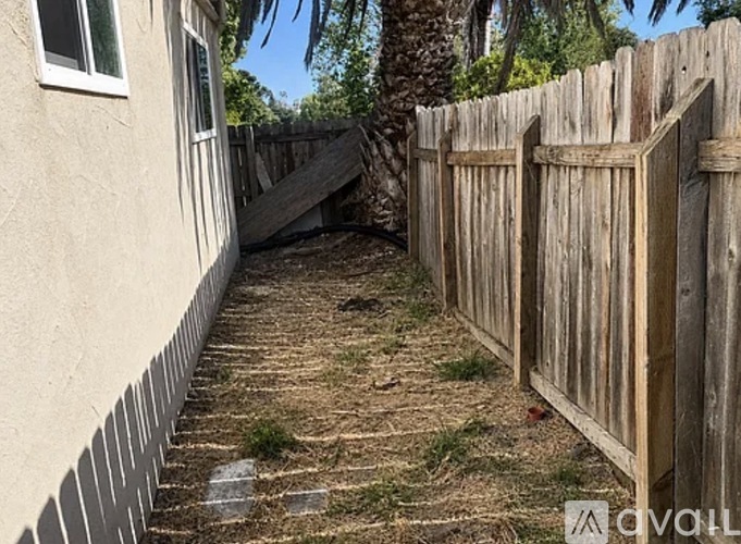 A backyard with a wooden fence and a small tree.