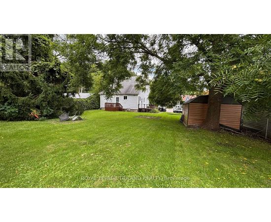 A backyard with a shed and a tree.