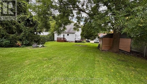A backyard with a shed and a tree.