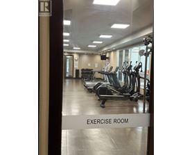 A gym with treadmills and exercise equipment.