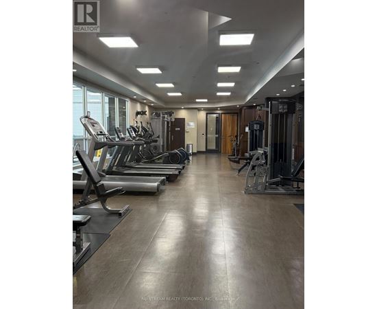A gym with treadmills, weights and exercise machines.