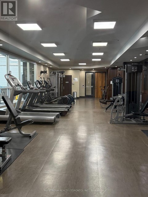A gym with treadmills, weights and exercise machines.