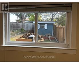 A window with a view of a backyard with a shed and a tree.