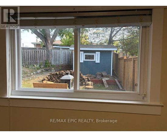 A window with a view of a backyard with a shed and a tree.