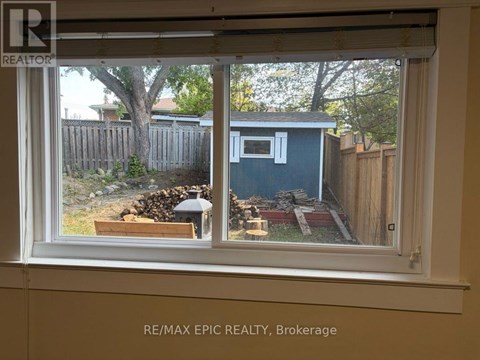 A window with a view of a backyard with a shed and a tree.