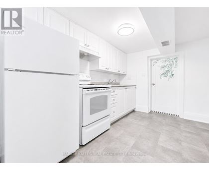 A white kitchen with a refrigerator, oven, and cabinets.