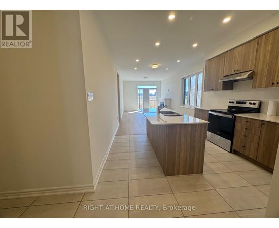 A kitchen with a countertop and cabinets is shown in this image.