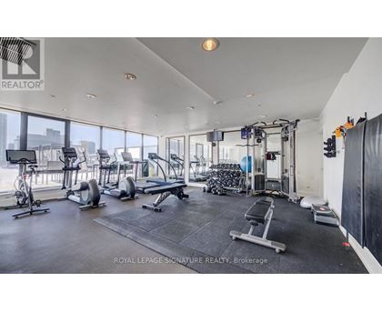 A gym with a variety of equipment including treadmills, weights, and exercise machines.