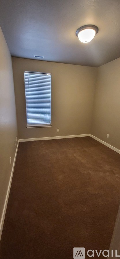 A room with a brown carpet and a window with blinds.
