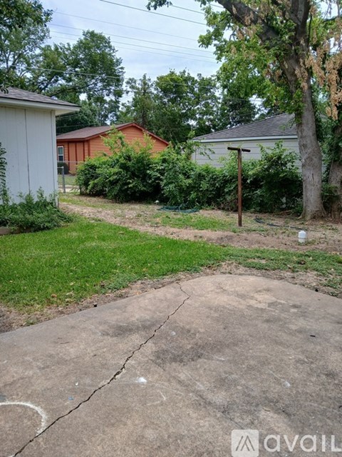A backyard with a cracked concrete slab and a white shed.