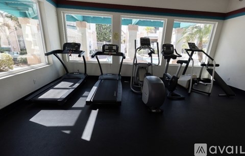 A gym with treadmills, elliptical machines, and stationary bikes.