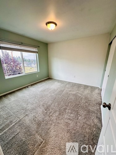 A room with a carpeted floor and a window showing trees outside.