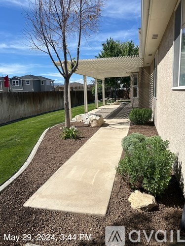 A concrete walkway leads to a house with a tree and shrubs on the side.
