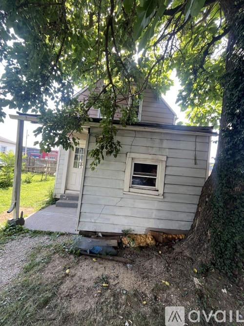 A small house with a white door and a window is surrounded by trees.