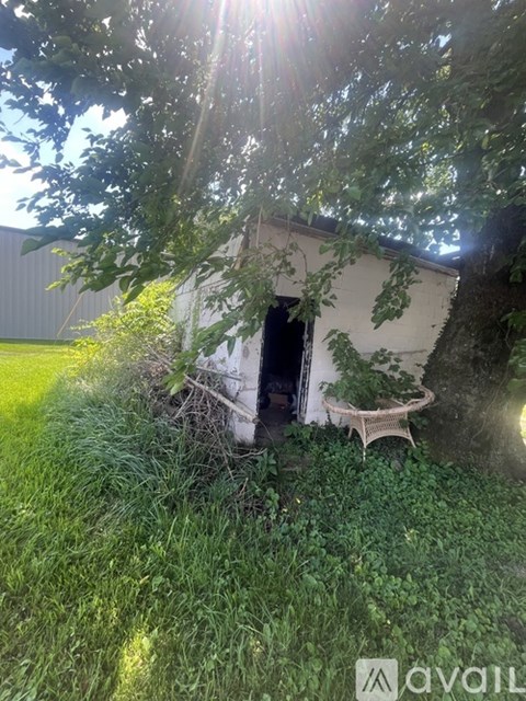 A small white shed is surrounded by greenery and sunlight.