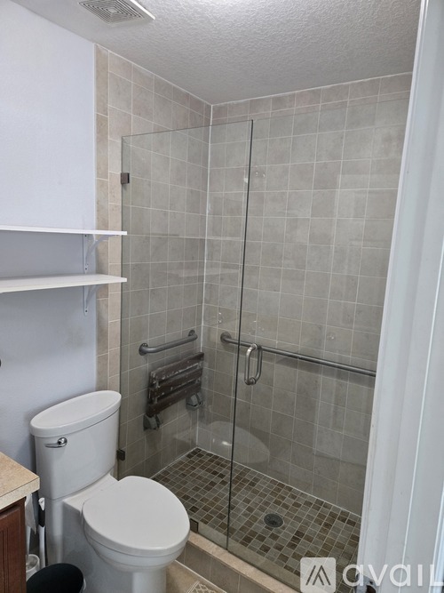 A white toilet sits next to a walk-in shower.