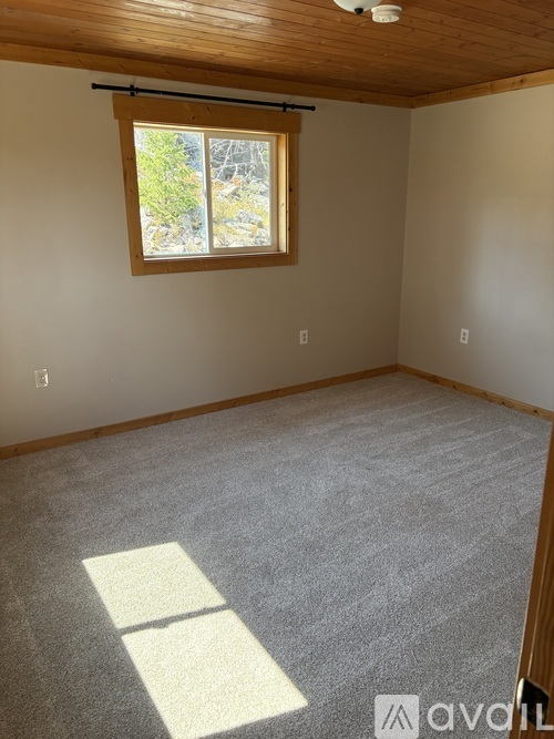 A room with a window and a carpeted floor.