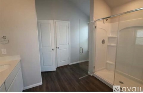 A bathroom with a walk-in shower and a sink.